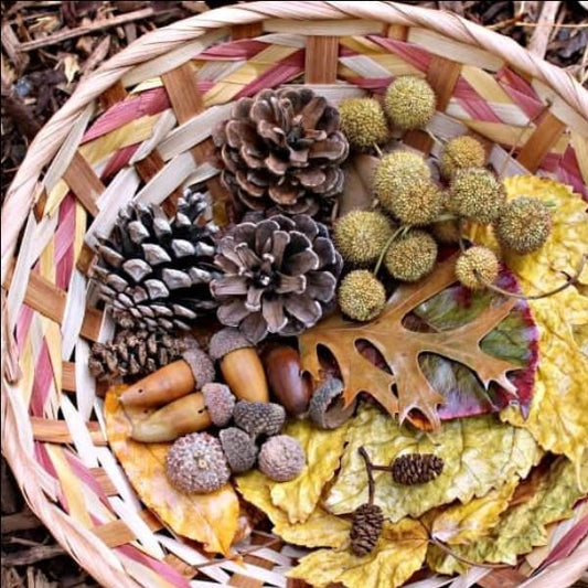 Fall Creative Play