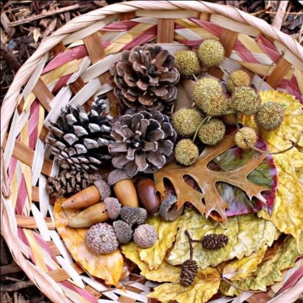 Fall Creative Play
